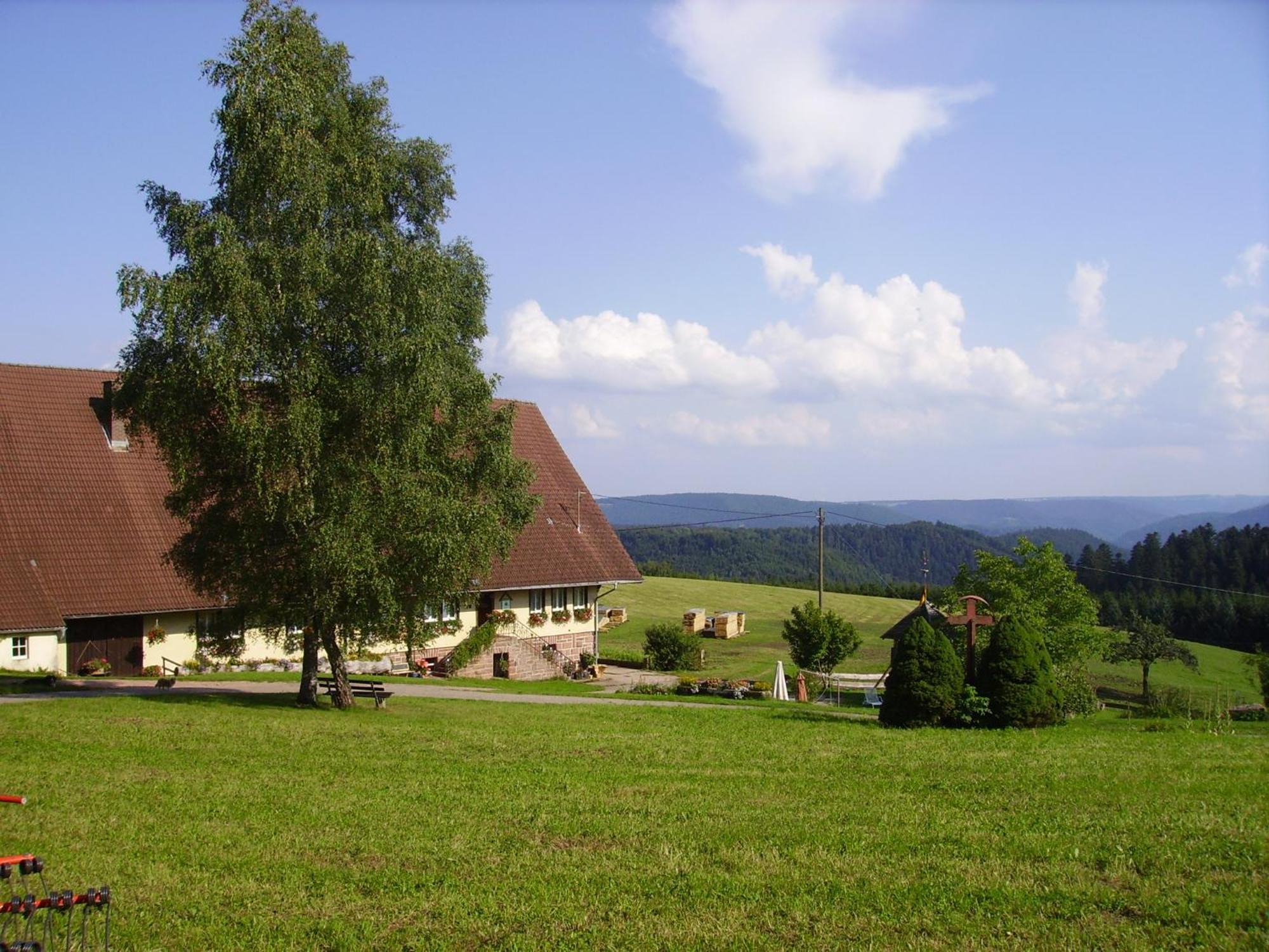 Villa Äckerhof Wolfach Exterior foto